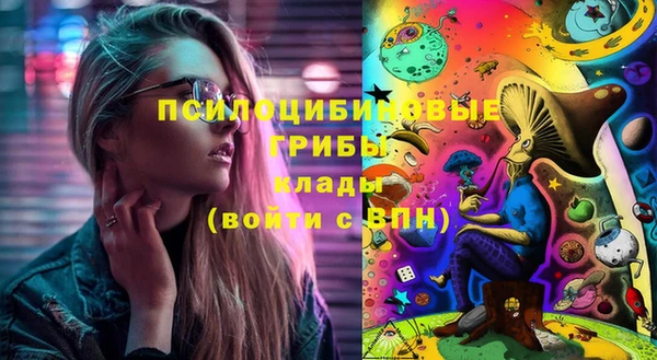 СК Карпинск