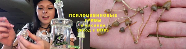 СК Карпинск