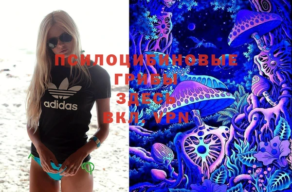 spice Кинешма