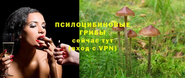 ешки Касимов